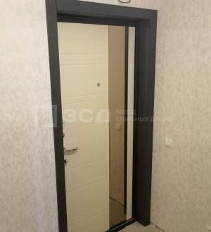 Металлическая дверь в квартиру с зеркалом - фото